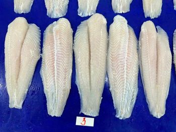 Frozen Pangasius Fillet Bulk Weight 10kg Weight Per Unit 220 Up Certifications Haccp, Iso, Brc, Ifs Delivery Time 2 Weeks After - Phuc Tam Loi Group - Vietnam