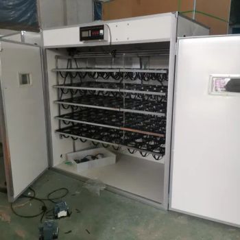 Pheasant Ostrich Medium Chicken Egg Industrial Incubator - United Metal Products (Qingdao) Co., Ltd - China
