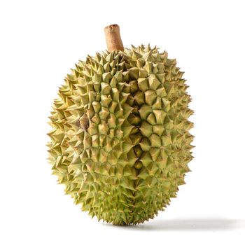 Delicious Fresh Durian Fruits Premium Farm Fresh Selection Buy Today For Outstanding Flavor And Natural Freshness from CPW TRADE LTD Delicious Fresh Durian Fruits Premium Farm Fresh Selection Buy Today For Outstanding Flavor And Natural Freshness - CPW TRADE LTD - United Kingdom