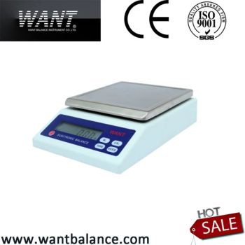 3kg 5kg 6kg 10kg 0.1g Digital Weighing Electronic Precision Balance - WANT Balance Instrument Co., Ltd. - China