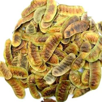 Senna Pods (Cassia angustifolia), Premium Export Quality, India - Sinhal Herbs  - India
