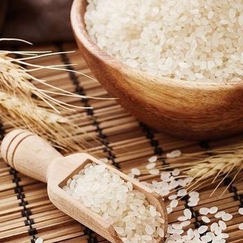 WHOLESALE / FREE SAMPLE Japonica Rice / Round Rice / Short Grain - Juli WA0084902431106 - Sunrise Ins Group - Vietnam