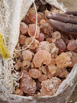 Gum Arabic Hashab - Kk transport & logistics  - Italy