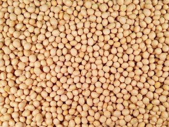 High Quality New Crop GMO Yellow Soya Beans Best Grade Certified Dried Soybeans for Animal Feed Bulk from VERTEX TRADING LIMITED High Quality New Crop GMO Yellow Soya Beans Best Grade Certified Dried Soybeans for Animal Feed Bulk - VERTEX TRADING LIMITED - United Kingdom
