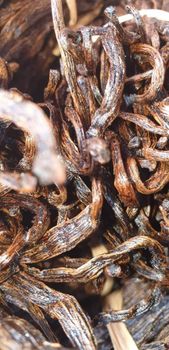 Premium Vanilla Cuts Madagascar Bourbon Loose Beans Industrial Extraction Extract Grade C from DUREL PRODUCTS Premium Vanilla Cuts Madagascar Bourbon Loose Beans Industrial Extraction Extract Grade C - DUREL PRODUCTS - Madagascar