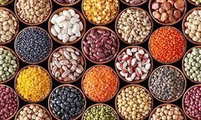 Light Red Kidney Beans, Sugar Beans, Pinto Beans, and Black Eye Beans - Thai Agri Company - Thailand