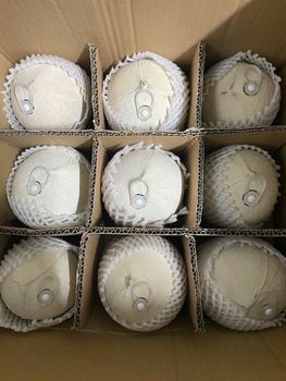 Premium Fresh Coconuts (Diamond-Cut, Easy-Open, Fully Husked) - Thien Dai CO LTD - Vietnam