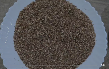 Premium Hole / Split/Grains Dried Betel Nut from ARIF TRADING CORPORATION Premium Hole / Split/Grains Dried Betel Nut - ARIF TRADING CORPORATION - Bangladesh