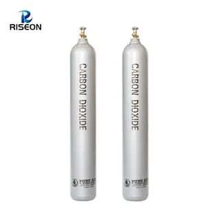 Riseon 279mm-6.2mm-68L Alloy Steel CO2 Pressure Vessel Factory Direct - SHANGHAI RISEON INDUSTRY CO., LTD. - China
