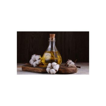 Refined cottonseed oil available for industrial and culinary applications from MASI TRADING GMBH Refined cottonseed oil available for industrial and culinary applications - MASI TRADING GMBH - Germany