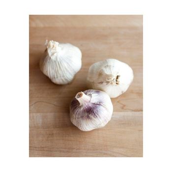Wholesale Price pure white garlic for Bulk Stock Available - HIGHPROFILE AGRICULTURE SERVICES LIMITED - Tanzania