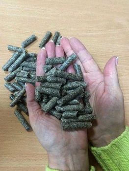 Sugar Beet Pulp Pellets Form Pellet Moisture Content 9 % Sugar Content 6 – 8 % Crude Protein Content 15 % Packaging Big Bags (Jumbo bag) - ZEFIRTRADE SP. Z.O.O - Belarus