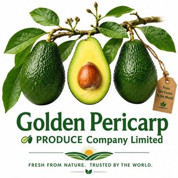 Fesh Hass Avocados from Golden Pericarp Produce Company Limited Fesh Hass Avocados - Golden Pericarp Produce Company Limited - Kenya