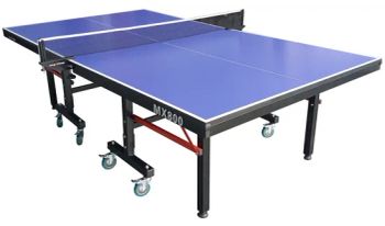 Professional Indoor/Outdoor Table Tennis Tables Game with Net for Adults/Teens - Taizhou Wonderful Sporting Goods Co., Ltd - China