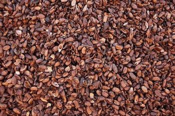 Cocoa Shell - PT. Syahdu Sejahtera Makmur - Indonesia