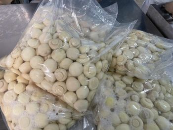 mushroom Grade A~B; B~C Shelf Life 2~3 YEARS Place of Origin CHINA Packaging CANS,JARS, DRUMS Size RETAIL AND HORECA SIZES - CI SA PENON - United Arab Emirates