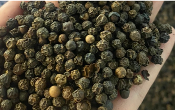 Agricultural Raw Materials Texture Grinded Color Black, - Agreso - Vietnam
