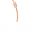 Product – product photo, Dried Fruit Paste products found from trusted suppliers, wholesalers, manufacturers & exporters Listing