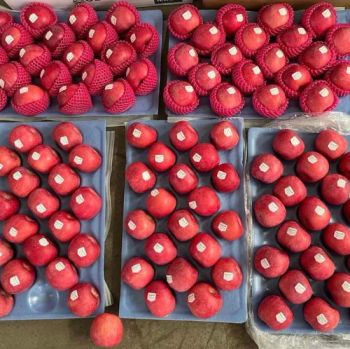 New Crop Wholesale OEM Preserved Fresh Red Delicious Star Full Blush FUJI Huaniu Apple - Jiangsu e.Funs Import & Export Co., Ltd. - China