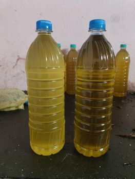 Bull driven cold pressed groundnuts oil from Lakshminarasimha bull driven oil s Bull driven cold pressed groundnuts oil - Lakshminarasimha bull driven oil s - India