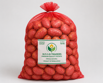 fresh potato from ms/ sb traders fresh potato - ms/ sb traders - Bangladesh