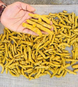 Factory Supply Top Selling Premium Quality Turmeric Finger Export Standard – product photo, Turmeric Finger Spices products found from trusted suppliers, wholesalers, manufacturers & exporters Listing