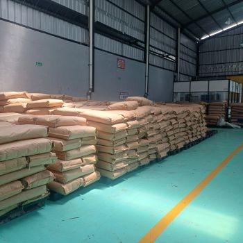 dessicated coconut - Niaga indo alam resouces - Indonesia
