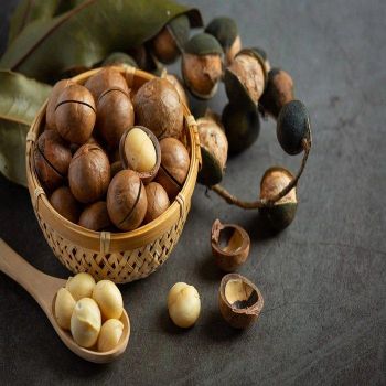 Raw Dried Macadamia Nuts Origin Healthy Snack Wholesale Bulk Supply Price High Grade Premium Quality Natural from TRADECENTRIC LLC Raw Dried Macadamia Nuts Origin Healthy Snack Wholesale Bulk Supply Price High Grade Premium Quality Natural - TRADECENTRIC LLC - United States