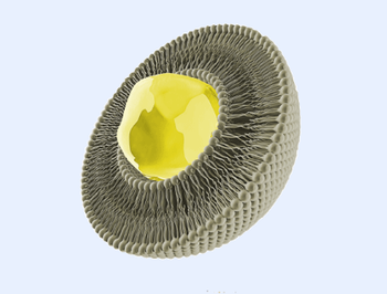 Vitamin C Form Powder Technology Liposomal Shipment Origin Netherlands Manufacturing Location Netherlands Manufacturer nanoCaps Laboratories - nanoCaps Laboratories - nl
