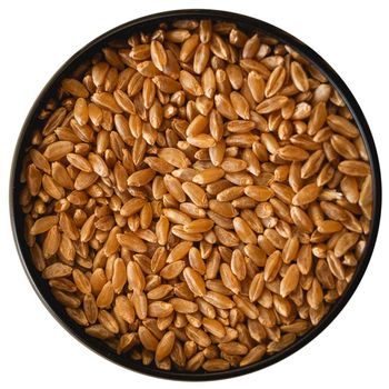 Bulk Sale Of Durum Wheat With Superior Color And Texture Fresh And Healthy Wheat Ready For International Buyers - AGRO AFRIQUE COMPANY LIMITED - Tanzania