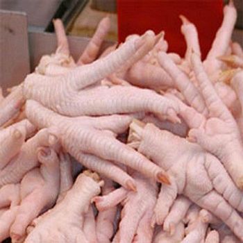 Premium Grade A Frozen Chicken Paws 30-50g Halal Certified IQF Export Quality Bulk Supply - KAFAIN CONSULTANCY LTD - United Kingdom