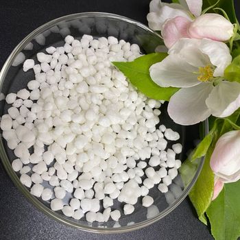 Agricultural Grade Nitrate Fertilizer Ammonium Sulfate 21% (NH4) 2so4 for Plant Growth from CALIPSO POLSKA SP Z OO Agricultural Grade Nitrate Fertilizer Ammonium Sulfate 21% (NH4) 2so4 for Plant Growth - CALIPSO POLSKA SP Z OO - Poland