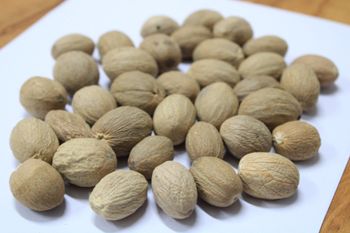 INDONESIAN NUTMEG ABCD WITHOUT SHELL from Rumah Rempah Indonesia INDONESIAN NUTMEG ABCD WITHOUT SHELL - Rumah Rempah Indonesia - Indonesia