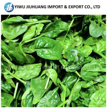 Fresh Spinach Frozen 2KG Bag Halal Kosher HACCP FDA 18-24M Shelf MOQ100 1Y - Yiwu Jiuhuang Import and Export Co., Ltd. - China