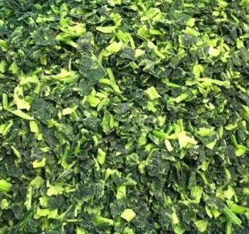 Fresh Spinach Vegetable Frozen Vegetable IQF Spinach by Best Price - Zhangzhou Great Land Foods Co., Ltd. - China