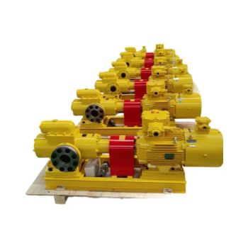 Industry Special Pump Progressing Cavity Pump Chemical Mono Sm Three-Spindle Screw Pump - Cangzhou Haiso Screw Pump Co., Ltd. - China