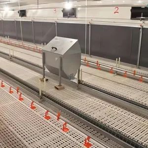 Chain-Type Feed Trough Kit Feed Grille for Breeder Chickens - Qingdao Farm Lyric Agri-tech Co., Ltd. - China