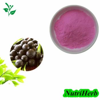 100% Natural Super Flavor Supplement Healthy Food Ingredient Acai Berry Juice Fruit Powder - Nanjing NutriHerb BioTech Co., Ltd. - China