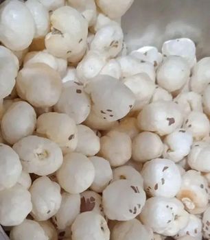 Fox Nut/Makhana Flavor Mild Quality Premium Texture Crunchy Fat Content Low Fat Place of Origin India Shelf Life Long Shelf Life - Vishwin Global Trade - India
