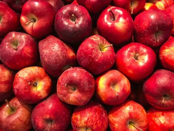 Iranian Fresh Fruits Features Organic Texture Firm And Juicy Flavor Excellent Flavor Freshness High Freshness Color Red, Green, Yellow, Orange, Pink, Purple - PATORA :: PARSIAN TEJARAT JAHAN GOSTAR HOORA - Iran