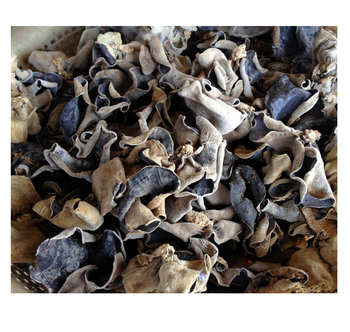 Natural Product Healthy Raw Cultivated Dried Black Fungus Mushroom/Dried Woodear Mushroom for sale AGENAS - AGENAS CO., LTD - Vietnam