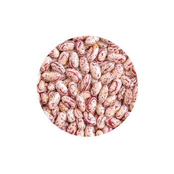Bulk sugar beans sourced from certified producers for export - HIGHPROFILE AGRICULTURE SERVICES LIMITED - Tanzania