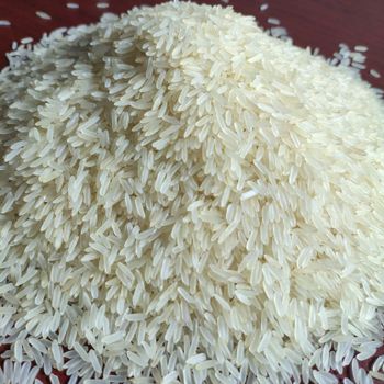 PR11 White Sella Rice from Geo360 Agro Industries Pvt. Ltd PR11 White Sella Rice - Geo360 Agro Industries Pvt. Ltd - India