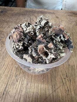 Stone flower from MEME GROUP COMPANY LTD Stone flower - MEME GROUP COMPANY LTD - Cameroon