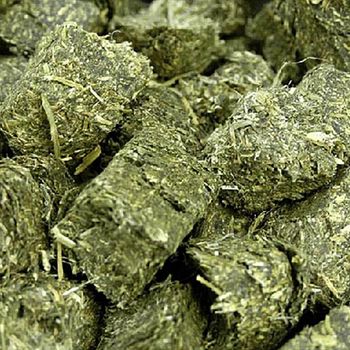 Best Price Alfalfa Hay Green Fresh High Quality Baled or Compressed Hay for Cattle Horses Sheep and Goats - agroturaspzoo - Poland