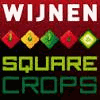 Product from WIJNEN SQUARE CROPS Product - WIJNEN SQUARE CROPS - Netherlands