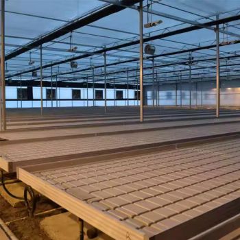 Seedling Beds with Tidal System Hydroponics Equipment for Agriculture Nursery & Greenhouse Horticulture Planting & Irrigation - Hebei Fanshuo Wire Mesh Products Co., Ltd - China