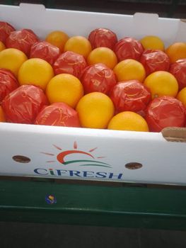 Fresh Oranges Valencia - Alradwan - Egypt