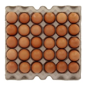 Chicken Eggs Supplier for Food Processing Industry with Reliable Quality and Stable Supply from S-SQUAD Chicken Eggs Supplier for Food Processing Industry with Reliable Quality and Stable Supply - S-SQUAD - France