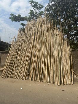 Bamboo Pole from Bamboo Edge Export Bamboo Pole - Bamboo Edge Export - Bangladesh
